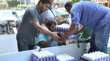 تحديثات الأسعار.. بورصة الدواجن تكشف قيمة كرتونة البيض بمختلف أنواعها الأحد لوقوفه